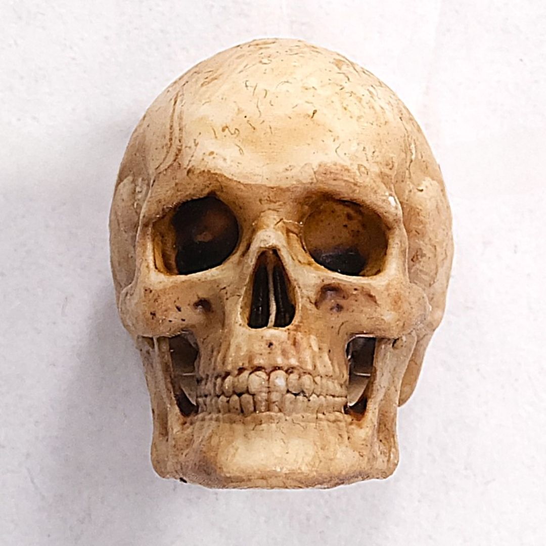 Miniatur Skelett Schädel / Totenkopf - 2,5 cm