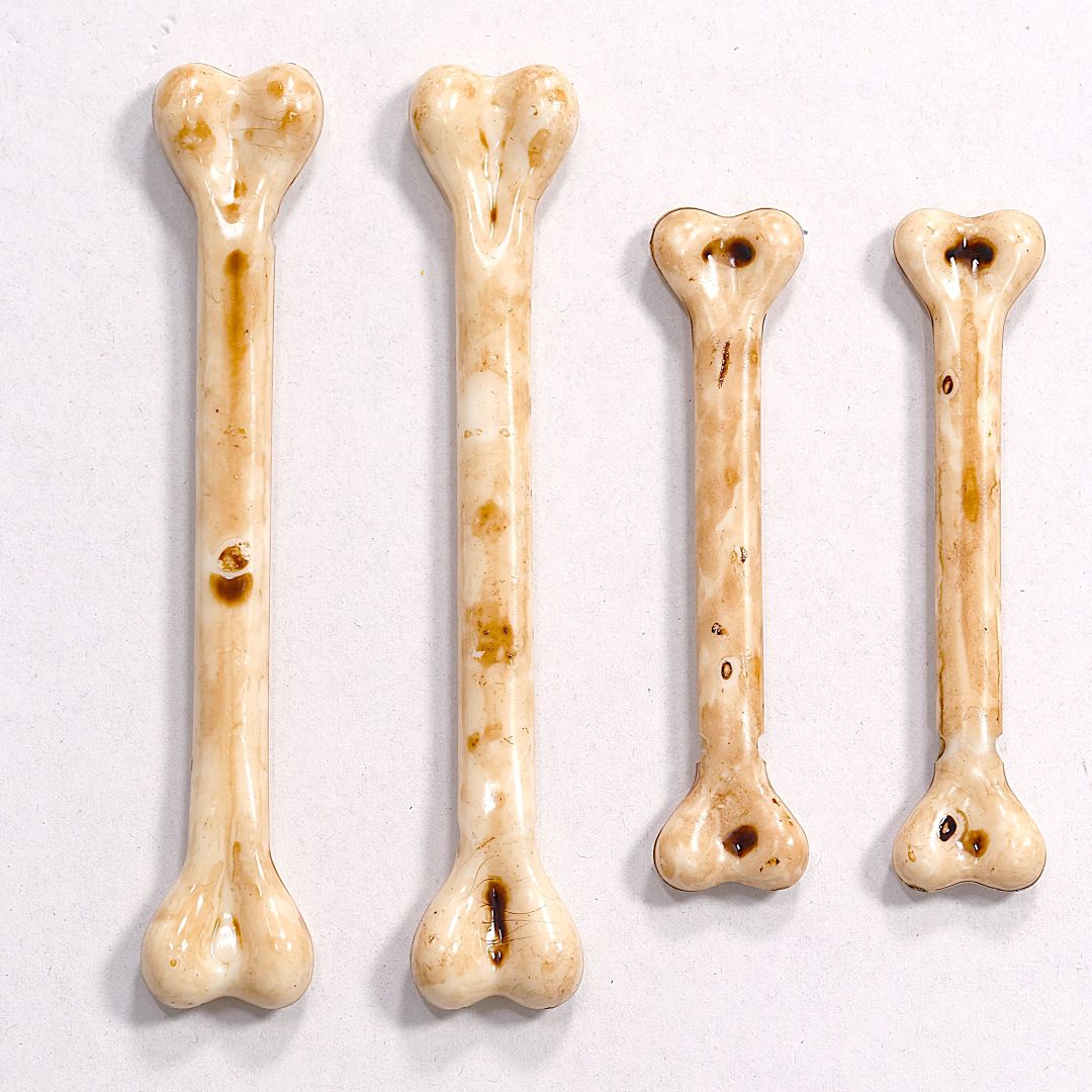 4er Set Miniatur Knochen